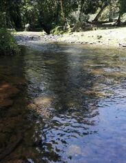 ESPECTACULAR FINCA EN CUTRIS DE SAN CARLOS.  en Cutris, San Carlos, Alajuela — 225 000 000 ₡ - Foto 4 de 11