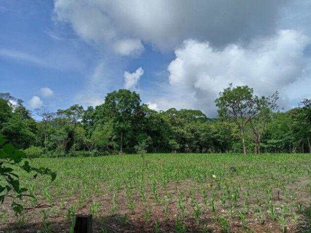 Venta de Lote en Nicoya-San Antonio. RAH 25-1377 in San Antonio, Nicoya, Guanacaste — ₡ 30 000 000