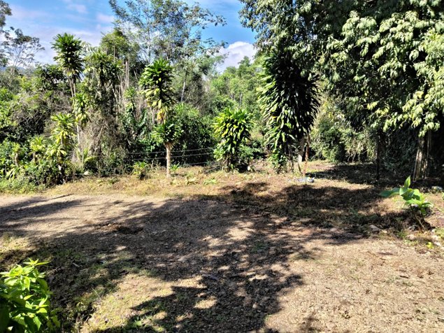 Lote de oportunidad 1654m2 en San Isidro De El General, Pérez Zeledón, San José — ₡ 35 000 000