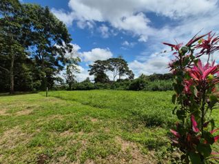 🌿 LOTE EN VENTA EN BUENOS AIRES – CALLE MANZANO en Guápiles, Pococí, Limón — 35 000 000 ₡ - Foto 5 de 6