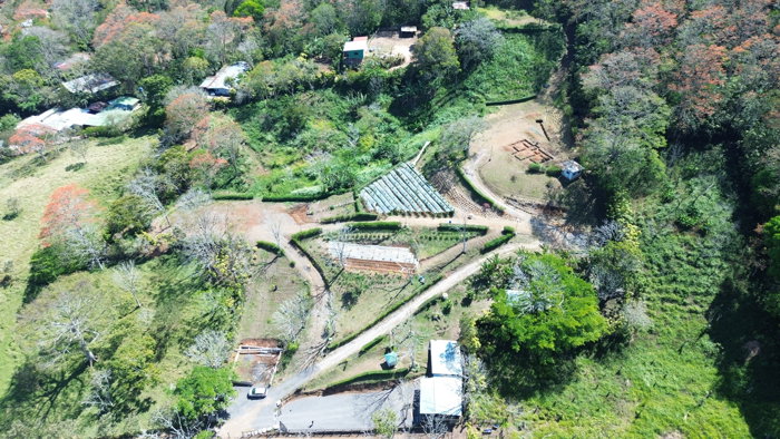 Propiedad Con Vistas La Granja Palmares (2Ha.) in La Granja, Palmares, Alajuela — ₡ 140 000 000