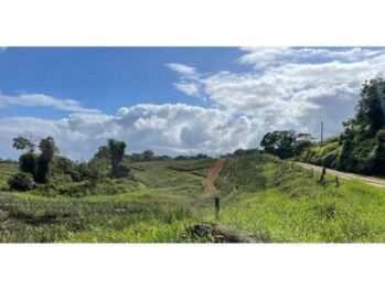 VENTA DE FINCA, HEREDIA, SARAPIQUÍ, GOLFITO, LA CUREÑA   in Cureña, Sarapiquí, Heredia — $550,000 - Photo 5 of 15