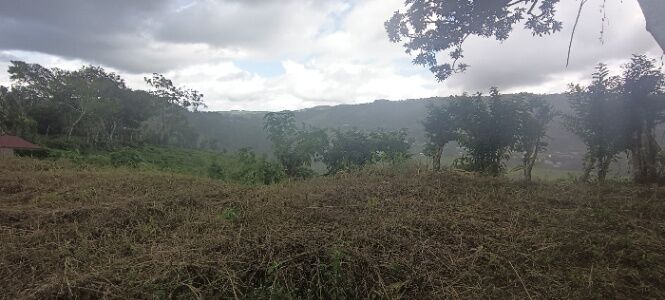 Venta de lote en Barrio Orotina, La Isla, San Vito de Coto Brus, Puntarenas. in San Vito, Coto Brus, Puntarenas — ₡ 12 000 000