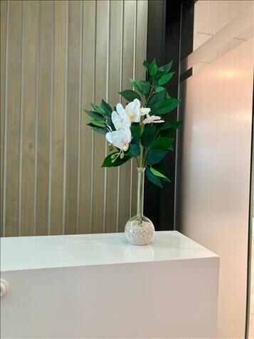 Oficinas Momentum Pinares in Curridabat, San José — ₡ 254 000