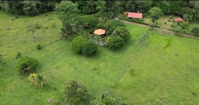 BELLÍSIMA QUINTA MUY CERCANA A LA FORTUNA.  in Peñas Blancas, San Ramón, Alajuela — ₡ 85 000 000