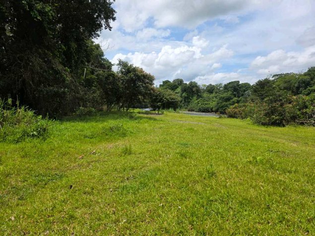 Finca de 4 hectáreas en Horquetas de Sarapiquí in Puerto Viejo, Sarapiquí, Heredia — ₡ 100 000 000