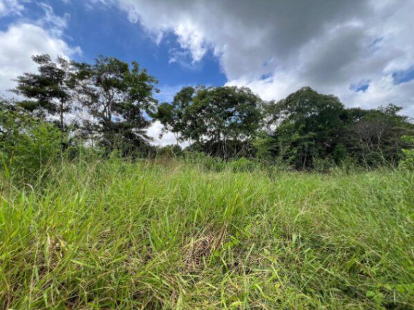 Venta de Espectacular Lote de Terreno en San Pablo de Turrubares / Mls. 26-1316 OFC JB in San Pablo, Turrubares, San José — $50,000