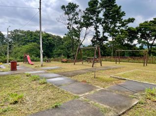 Terreno en venta en Palmares en Zaragoza, Palmares, Alajuela — 21 500 000 ₡ - Foto 4 de 5