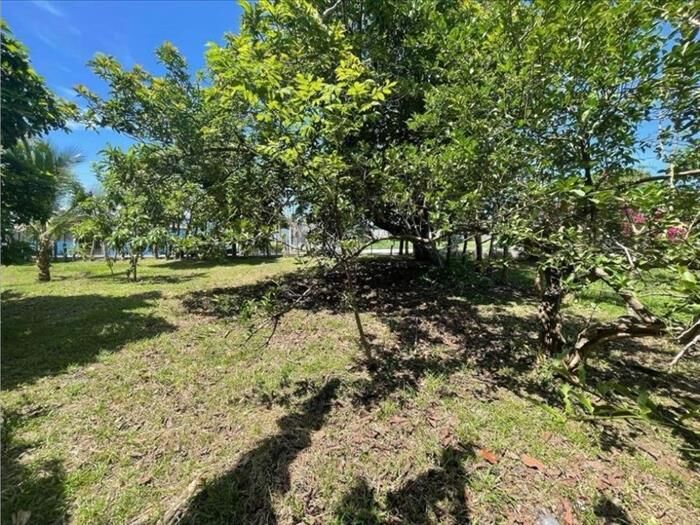 VENTA DE LOTE MIXTO Y ALTA DENSIDAD, ALAJUELA, OROTINA CENTRO en Coyolar, Orotina, Alajuela — ₡ 70 000 000