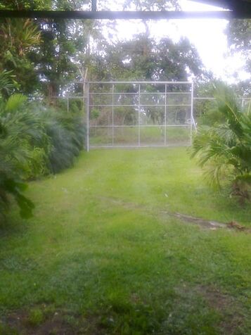 VENTA DE QUINTA, LIMON, SIQUIRRES, LA ALEGRIA in La Alegría, Siquirres, Limón — ₡ 40 000 000