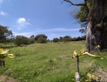 LOTE EN SAN ISIDRO DE HEREDIA in San Francisco, San Isidro, Heredia — 300 000 000 ₡ - Photo 5 of 5