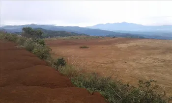 VENTA LOTE ALTA DENSIDAD, ALAJUELA, SAN RAMÓN,  POTRERILLOS