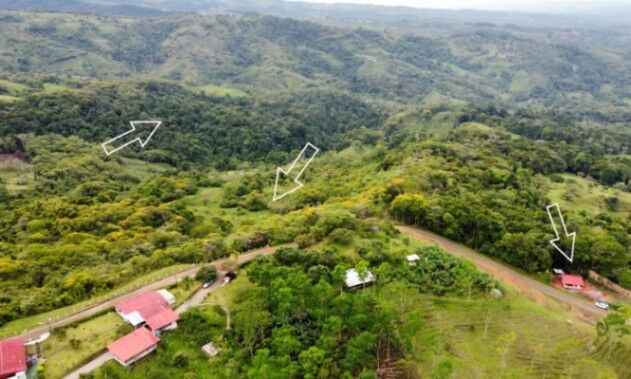 BEAUTIFUL LAND FOR SALE IN GENERAL VIEJO (25 HECTARES) in El General, Pérez Zeledón, San José — $450,000