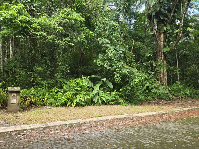 VENTA DE TERRENO EN COSTA ESTERILLOS ESTATES en Parrita, Puntarenas — $57,000 - Foto 3 de 16