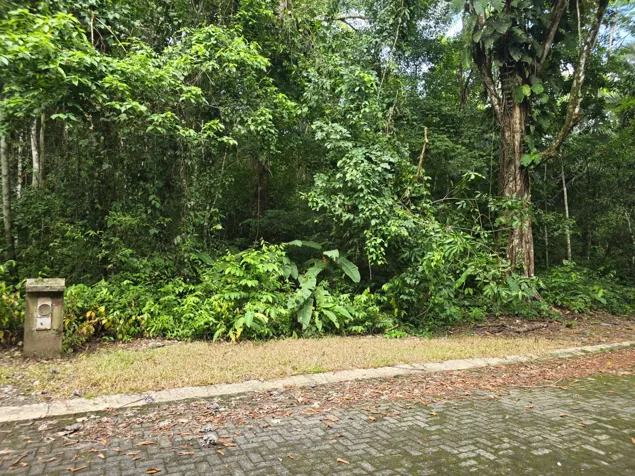 VENTA DE TERRENO EN COSTA ESTERILLOS ESTATES en Parrita, Puntarenas — $57,000 - Foto 3 de 16
