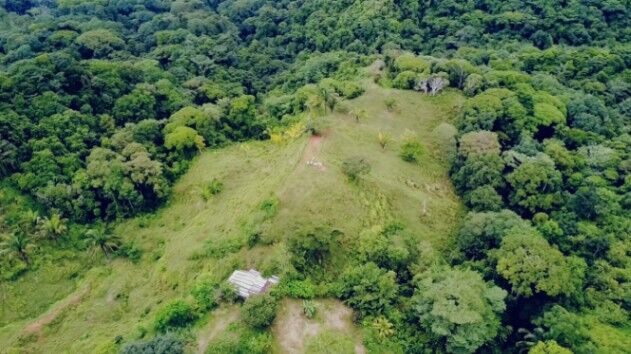TERRENO DE 7.5 HECTÁREAS CON VISTA AL MAR Y AL RÍO EN BALSAR DE OSA en Sierpe, Osa, Puntarenas — $650,000