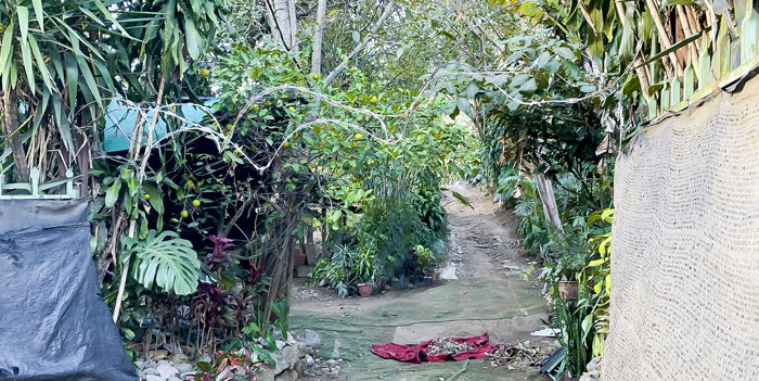 VENTA TERRENO DE DESARROLLO, SAN JOSE, DESAMPARADOS, SAN LORENZO in San Lorenzo, Tarrazú, San José — $1,600,000