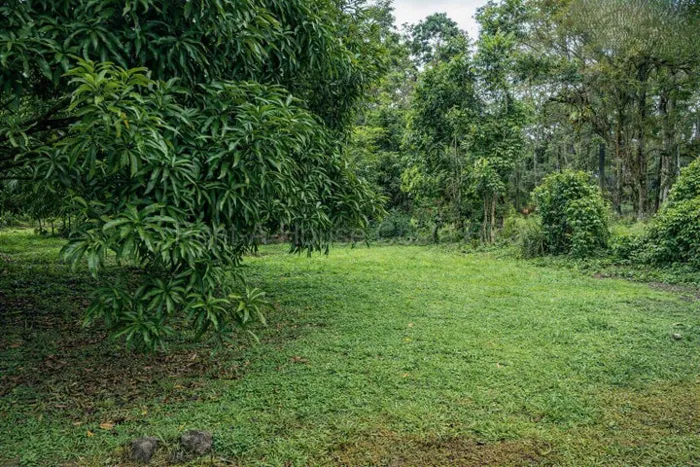 Venta de Lote PLANO en San Carlos-La Fortuna. RAH 27-935 en La Fortuna, San Carlos, Alajuela — ₡ 17 000 000 - Foto 2 de 8