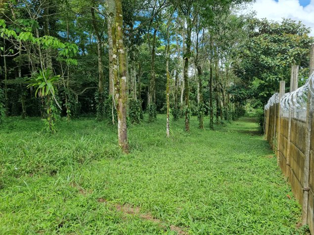 Venta 1Hectarea Aguas Zarcas San Carlos Alajuela en Aguas Zarcas, San Carlos, Alajuela — ₡ 65 000 000 - Foto 3 de 14