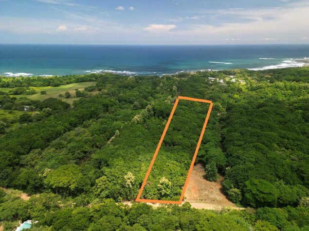 Ideal property for eco-development, 1 Hec 500 m to Marbella Beach en Santa Cruz, Guanacaste — $285,000