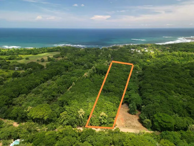 Ideal property for eco-development, 1 Hec 500 m to Marbella Beach in Santa Cruz, Guanacaste — $285,000