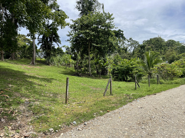 OPORTUNIDAD! LOTE SOBRE RUTA 36 EN COMADRE DE CAHUITA DE LIMON en Cahuita, Talamanca, Limón — ₡ 30 000 000 - Foto 2 de 25