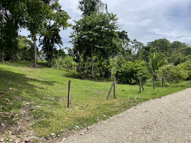OPORTUNIDAD! LOTE SOBRE RUTA 36 EN COMADRE DE CAHUITA DE LIMON en Cahuita, Talamanca, Limón — ₡ 30 000 000 - Foto 2 de 25