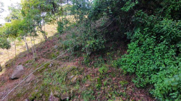 LOTE EN RIVAS 3,624M² A PRECIO ATRACTIVO in Rivas, Pérez Zeledón, San José — $69,999