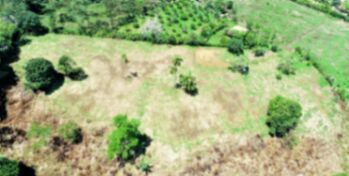 Finca con vista cerca a Alta Gracia en Cajón, Pérez Zeledón, San José — $199,999 - Foto 4 de 17