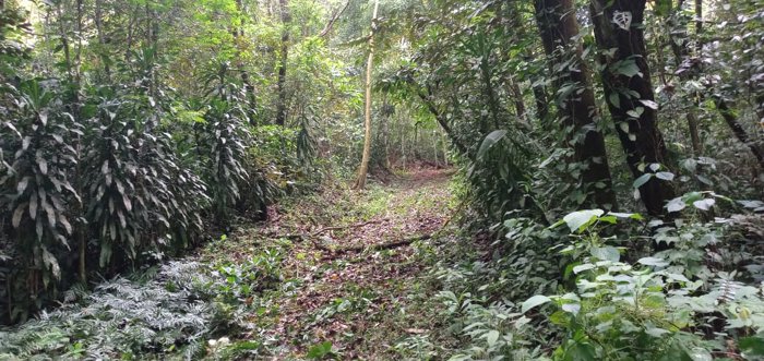 Oportunidad de inversión en Esparza, Puntarenas en Espíritu Santo, Esparza, Puntarenas — $445,000