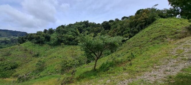 FINCA DE 61 HA EN CACHI in Cachí, Paraíso, Cartago — $350,000