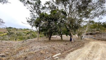 Se Vende Lote en San Pedro, San Ramon - Foto 3 de 3
