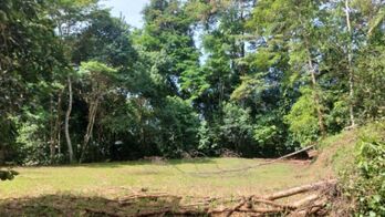 VENTA DE FINCA DE 1 HA EN PLATANILLO CON VISTAS A LA MONTAÑA Y 2 PLANTELES LISTOS in Barú, Pérez Zeledón, San José — $150,000 - Photo 5 of 6