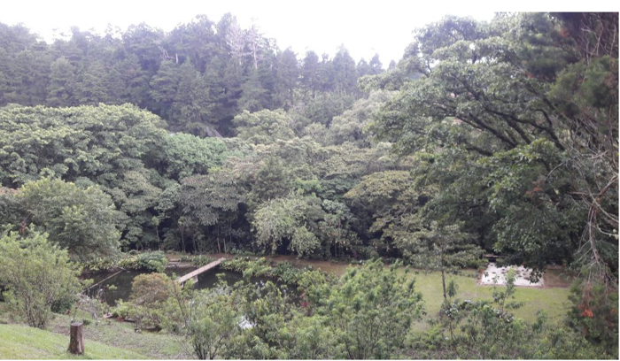 Finca de ensueño en las montañas de Santa Bárbara, Heredia 3,7 Acres in Santo Domingo, Santa Bárbara, Heredia — $740,000