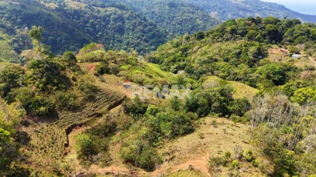 SE VENDE FINCA DE 2.8 HA EN SAN LUIS DE MORETE | VISTA A LA MONTAÑA Y CERCA DEL MAR in San Isidro De El General, Pérez Zeledón, San José — $190,000
