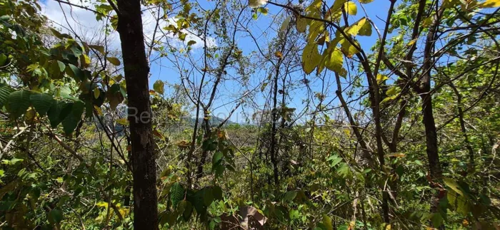 Venta de Lote en Parrita-Puntarenas. RAH 26-1767 en Parrita, Puntarenas — ₡ 150 000 000