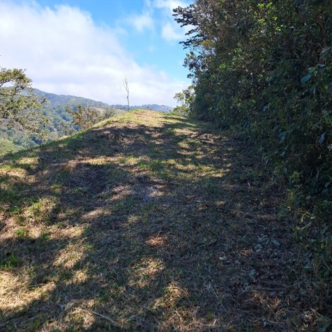 Se vende lote, gran oportunidad en Piedades Sur, San Ramòn en Piedades Sur, San Ramón, Alajuela — ₡ 32 000 000 - Foto 3 de 12