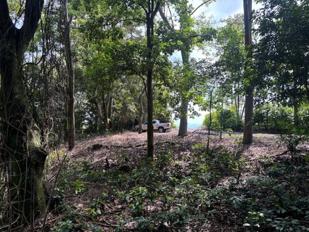 Uno de los últimos lotes ubicados en una comunidad privada . en Atenas, Alajuela — $110,000 - Foto 2 de 14
