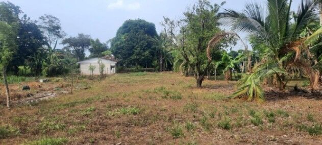 🌿 ¡Lote en San Isidro de Peñas Blancas, San Ramón! en Peñas Blancas, San Ramón, Alajuela — $26,000