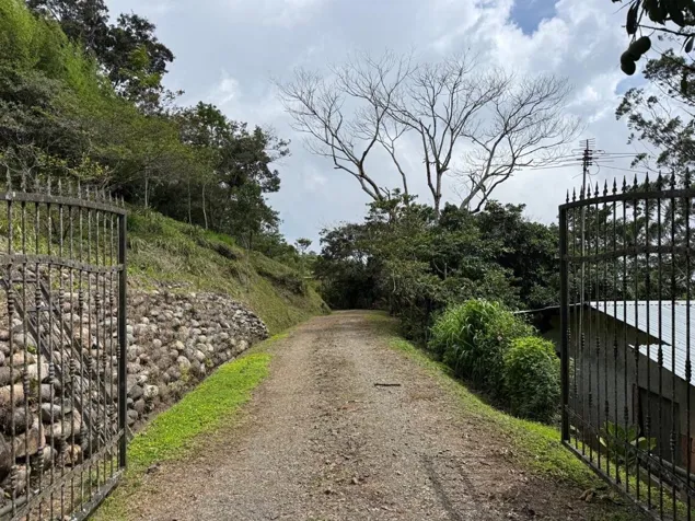 Venta de propiedad en San Ramón de Alajuela en San Ramón, Alajuela — $550,000 - Foto 2 de 50