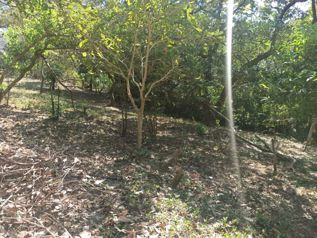 Venta de Lotes en Liberia / Guanacaste en Liberia, Guanacaste — 9 281 000 ₡ - Foto 4 de 7