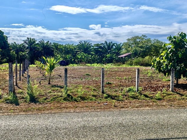 Terreno 4200 m² para desarrollo cerca de Playa Palo Seco, Parrita en Parrita, Puntarenas — $248,000