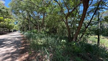 Venta Lote en Lepanto Puntarenas para Invertir o Construir in Lepanto, Puntarenas — 20 000 000 ₡ - Photo 5 of 10