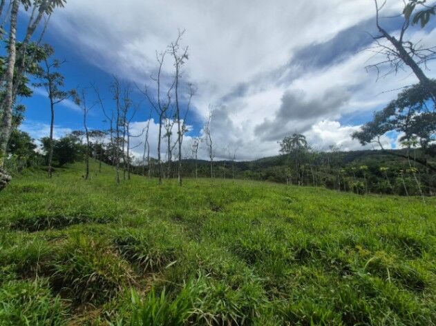EN VENTA: TERRENO DE 5.12 HECTÁREAS EN MIRAFLORES, PÉREZ ZELEDÓN en El General, Pérez Zeledón, San José — $330,000