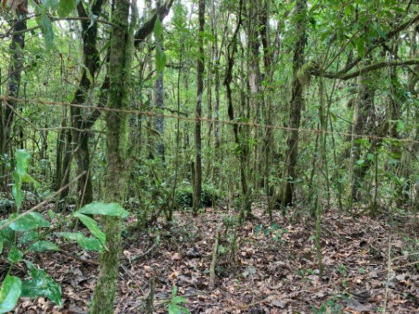 Venta de Lote en El Jardín de Dota, San José. RAH 25-1336 in Jardín, Dota, San José — ₡ 50 000 000