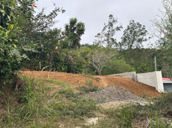 Vendo LOTE en C. Zeledón San Ramón  en Santiago, San Ramón, Alajuela — $37,000