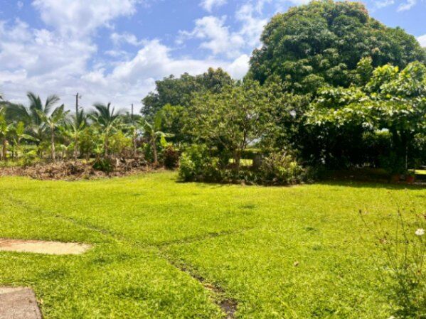 ¡Oportunidad! ¡Hermosa Casa Amplia con Grandes Zonas Verdes y Mucho Espacio! in Florencia, San Carlos, Alajuela — ₡ 95 000 000