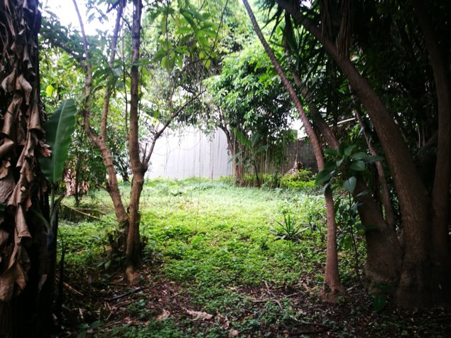 VENTA LOTE PARA DESARROLLAR URBANIZAR GUADALUPE  VHP-LV479 in Guadalupe, Goicoechea, San José — $1,224,850 - Photo 2 of 7