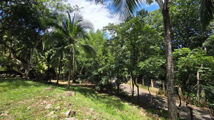 Lote con quebrada y bosque/2506m2/SAN MATEO in Labrador, San Mateo, Alajuela — ₡ 100 000 000 - Photo 3 of 56