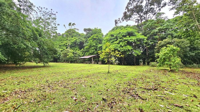 Venta de Lote en Guápiles, Limón. in Guápiles, Pococí, Limón — ₡ 58 000 000